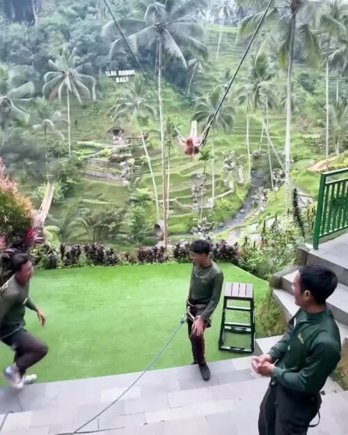 oichi.official 1707415380 3298361040746445879 50511663919 10