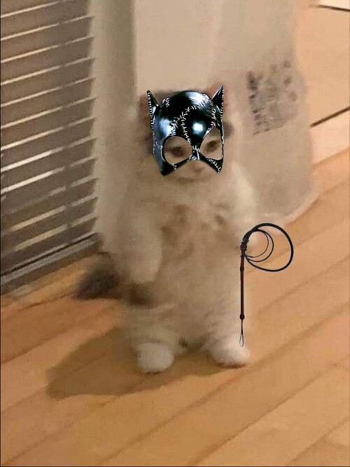 sladkoslava 1763921707 3772371154988997655 313573271 89