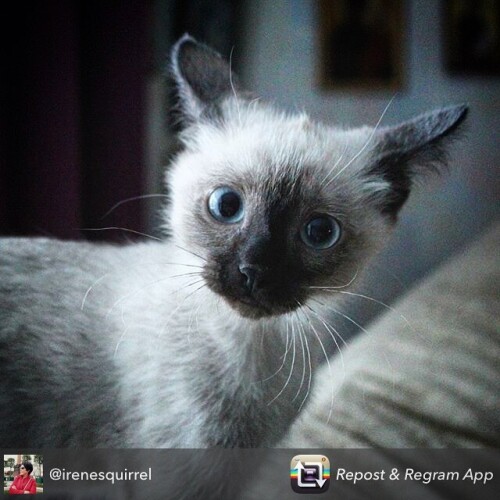 sladkoslava 1452030949 1156041849437364883 313573271 10