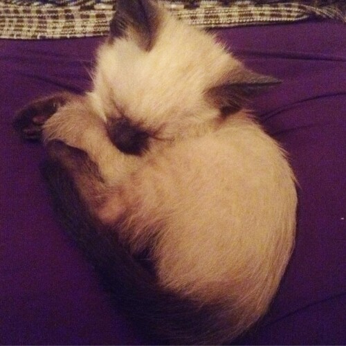 sladkoslava 1450200320 1140685424313966715 313573271 7