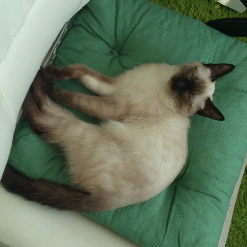 sladkoslava 1463484144 1252118215718544219 313573271 7