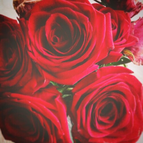 sladkoslava 1468855552 1297176850687022083 313573271 5