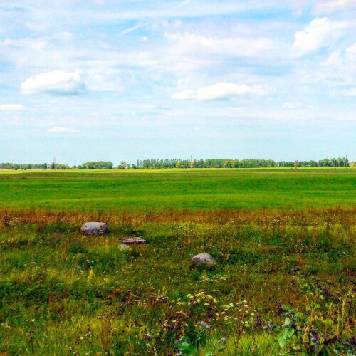 sladkoslava 1439553522 1051373608371429716 313573271 1