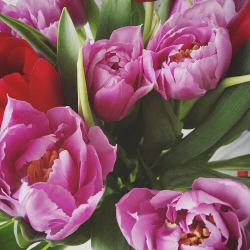 sladkoslava 1486549287 1445602658270170526 313573271 4