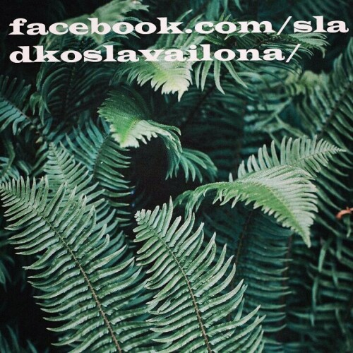 sladkoslava 1491730970 1489069768253138407 313573271 14